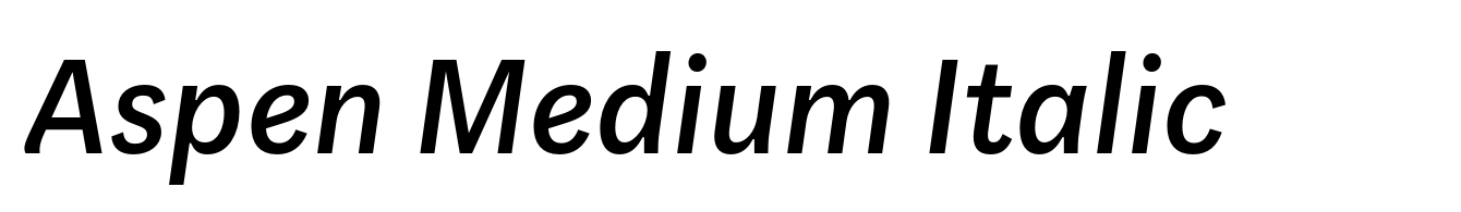 Aspen Medium Italic